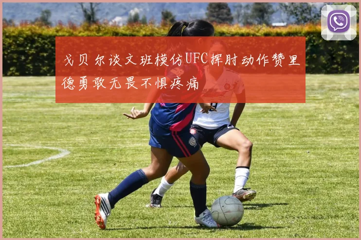 戈贝尔谈文班模仿UFC挥肘动作赞里德勇敢无畏不惧疼痛
